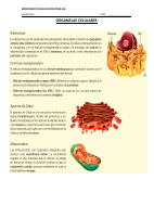 1_4985960536731550106 (1).pdf